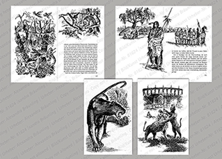 ILLUSTRATION |  Jugendbuch, Abenteuer in fernen Landen (u. a. für Verlage Loewes, Ensslin); Fabeln. Tusche auf gekörntem Spezialpapier 