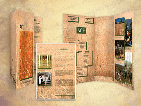 Mappe I | ACE, ein Zweigunternehmen der KWS Saat SE - Saatguthersteller aus Einbeck